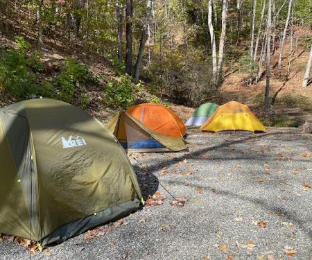 Cane Creek Holler