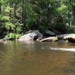 Van Hook Glade Campground