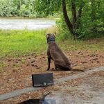 Coneross Campground