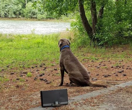 Coneross Campground