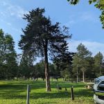 Cove Lake State Park Campground