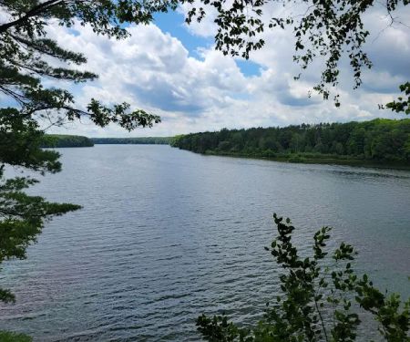 Big Bend Park