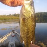 Twinwood Lake Campground