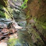 Turkey Run State Park Campground