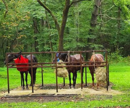 Cataloochee Horse Camp