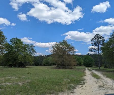 Yamacraw Campground Yuchi WMA