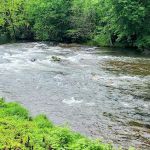 Great Smoky Mountain Camp and RV Park