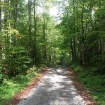 Big Rig Campground