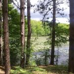 Haymarsh State Game Area Campground