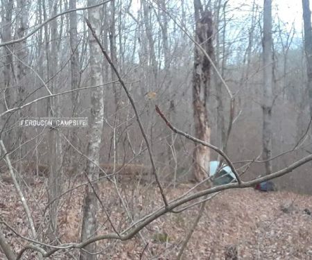 Ferguson Campground