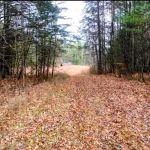 Serene Haven Retreat Campground
