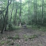 Backcountry Camp 41