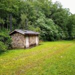 Wine Spring Horse Camp
