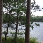 Shelley Lake Campground