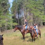 D bar D Ranch