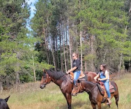 D bar D Ranch