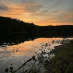 Condon Lakes West