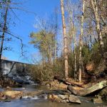 Hammock Campground