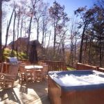 Watershed Cabin #11