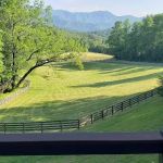 Boggs Hollow