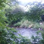 SDC Campground