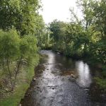 Firefly Campground