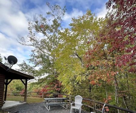 Bob cat cabins