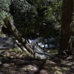 Backcountry Camp 48