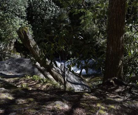 Backcountry Camp 48