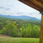 Panoramic view cabin
