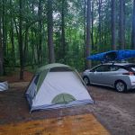 Higgins Lake State Park West Campground