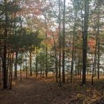 Whelan Lake Area