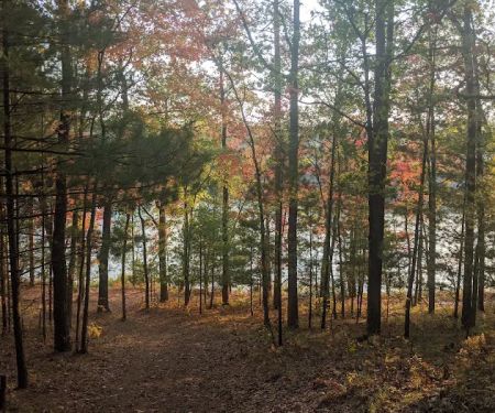 Whelan Lake Area