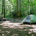 Backcountry Campsite #49
