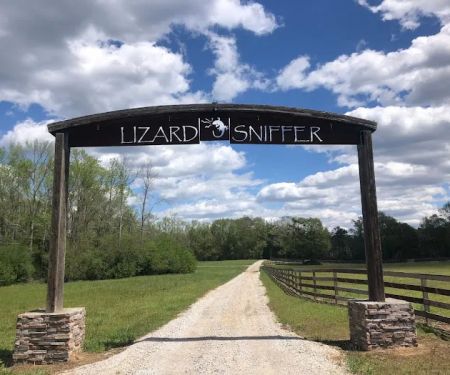 Lizardsniffer