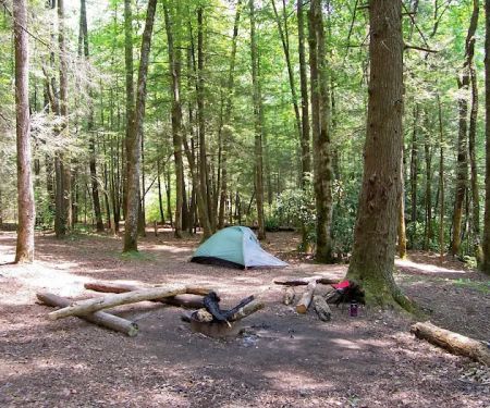 Backcountry Camp 60
