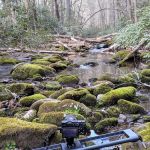 Backcountry Camp 57