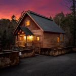 Bear Play Cabin