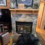 Bearly Rustic