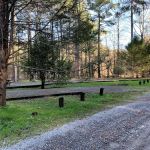 Young Branch Campground