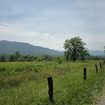 Cades Cove Campground