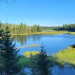Ausable River Camping Site 76d