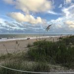 Edisto Beach State Park Campground
