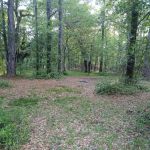 Elmwood Hunt Camp