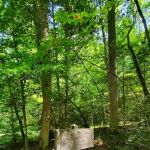 Backcountry Camp 64