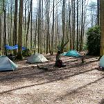 Backcountry Campsite #71