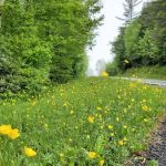 Trailhead
