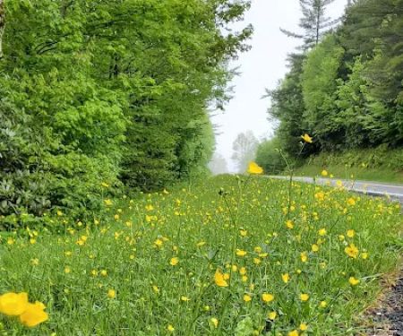 Trailhead