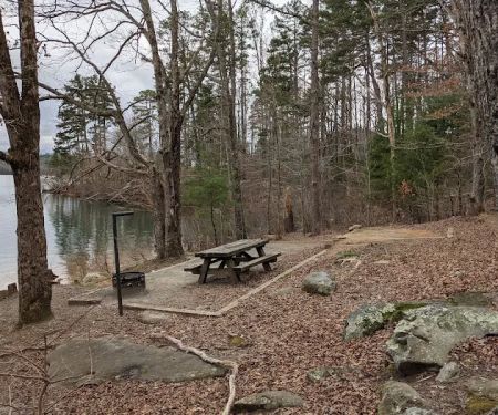 Forest Service Campsite P8