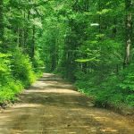 Jasus Creek Campground